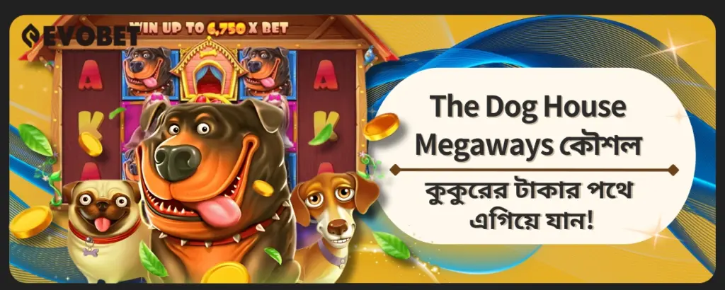 The Dog House Megaways কৌশল